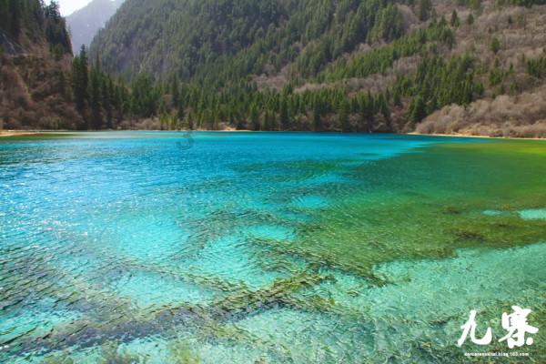深海迷航